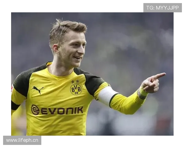 琼阿梅尼是否依赖体系？战术角色与自主性分析