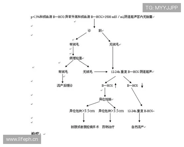 阻挡与防守站位判定的详细规则机制解析